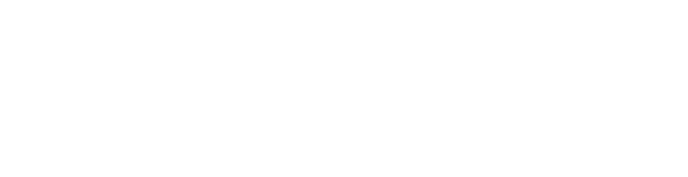 Dinero white logo